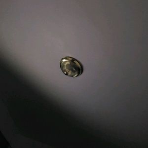 Meet your Posher, Ladyp